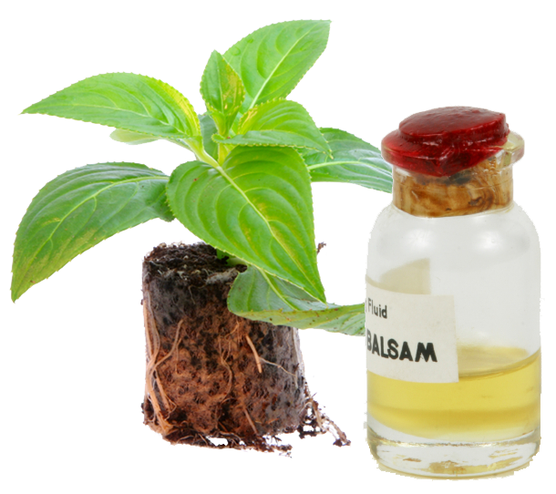 Aroma Or Scent Of Cooking
